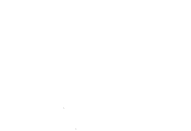 Texas Prostate Seed Institute Logo in white